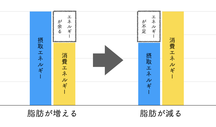 摂取エネルギーと消費エネルギー